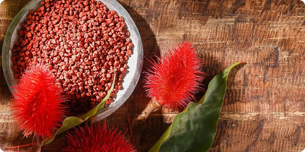 A close-up photo of annatto seeds and a small pile of its vibrant orange-red powder, used for natural food coloring.
