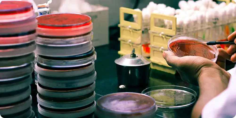 A conceptual graphic illustrating food preservation, such as a shield icon protecting fresh baked goods or meat from spoilage.