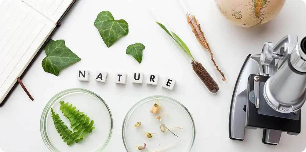 Top view of lab setup with plant leaves, sprouts in petri dishes, a test tube with soil and roots, globe, notebook, and microscope spelling out “NATURE.”
