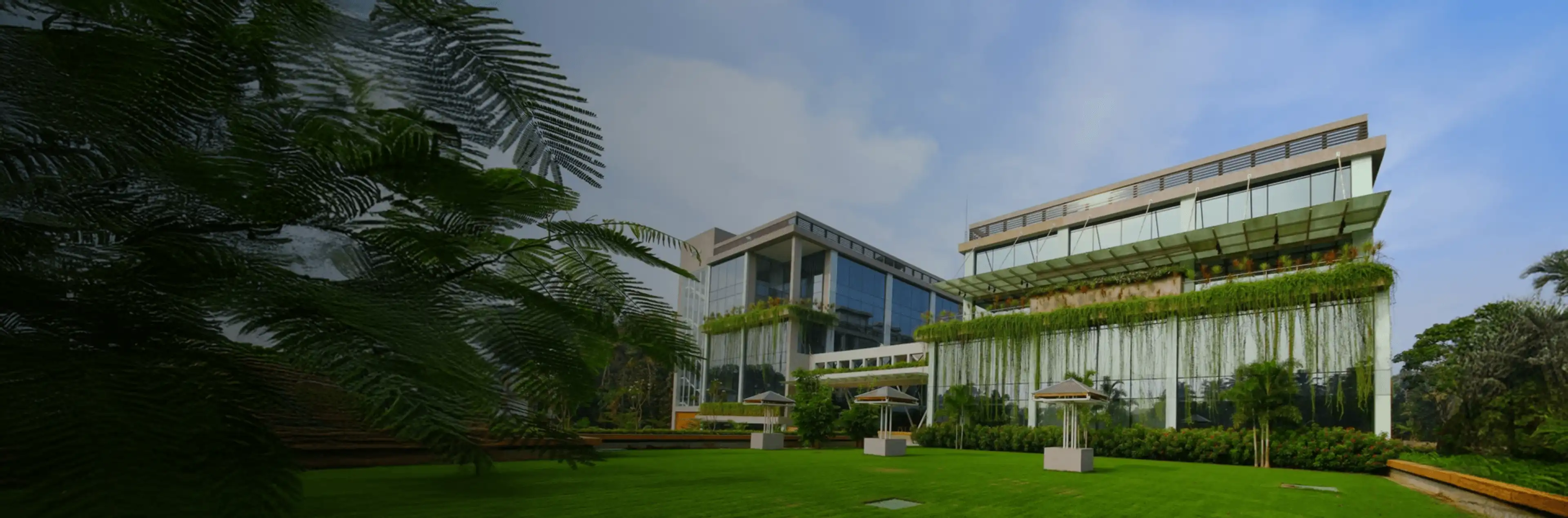 Wide view of a modern glass office building with lush vertical gardens and green ivy, framed by a manicured lawn and foliage.
