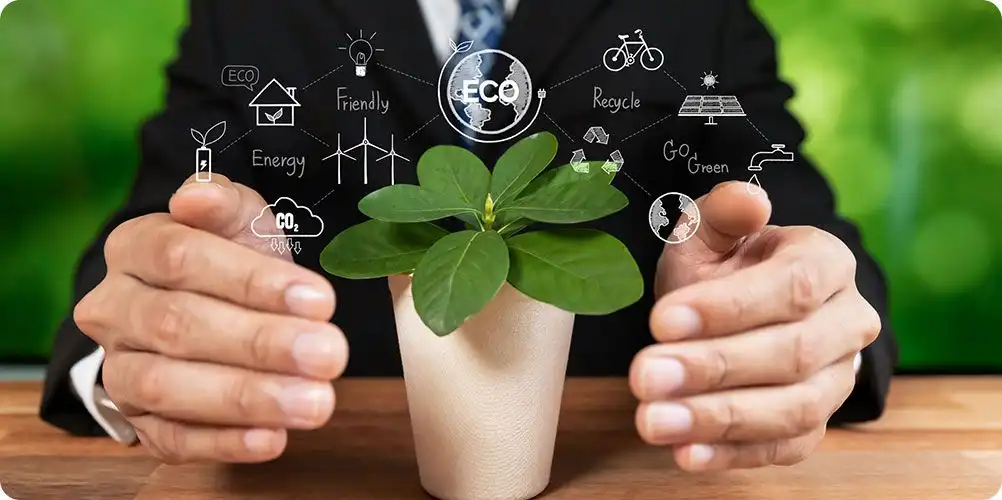 Environmental management ISO 14001 certificate image featuring the ISO logo and document details with greenery in the background.