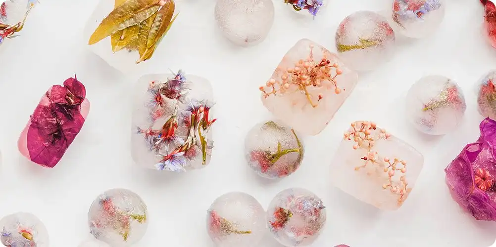 A visual of raw aromatic materials like myrrh or frankincense resin alongside their extracted, waxy resinoids.