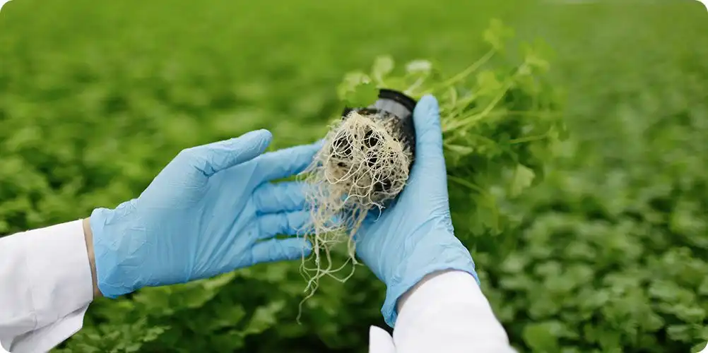 Learning and development programs image featuring employees attending a training session, with visuals of books, laptops, and collaboration – emphasizing continuous professional growth.