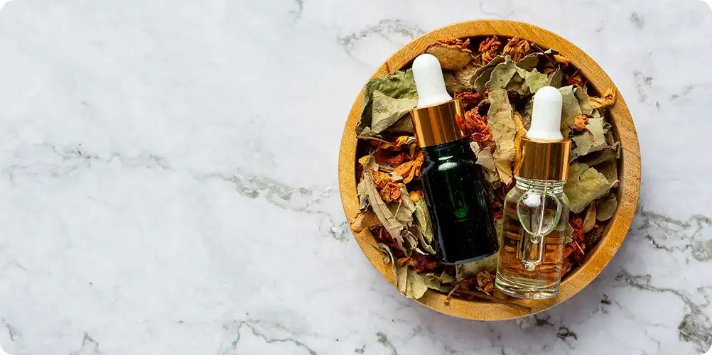 A scientific still life of botanical materials in various forms - whole, powdered, and in vials of standardized liquid extract.