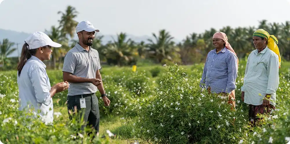 Farmer partnerships and support photo showing a farmer holding produce with company representatives, symbolizing direct sourcing and community support.
