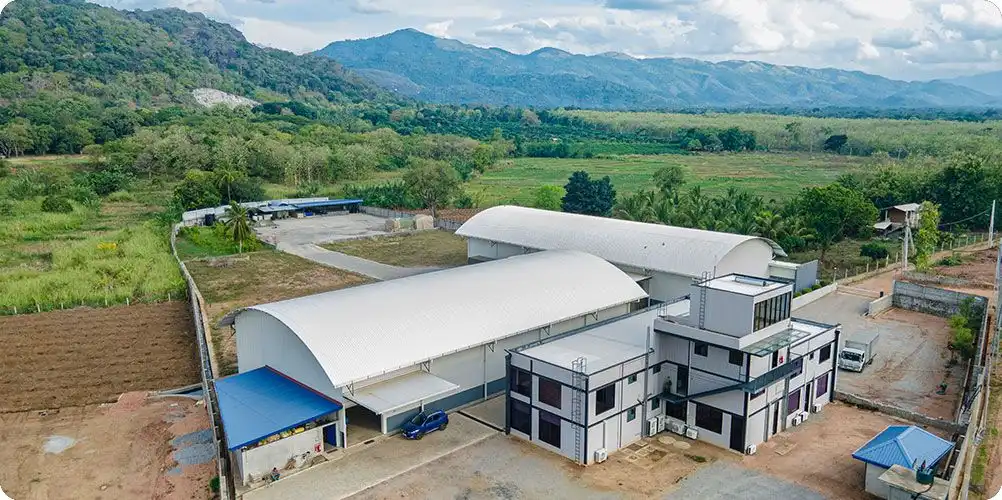 Conceptual map showing colored pushpins and map location markers connected by various colored threads, representing a global network.