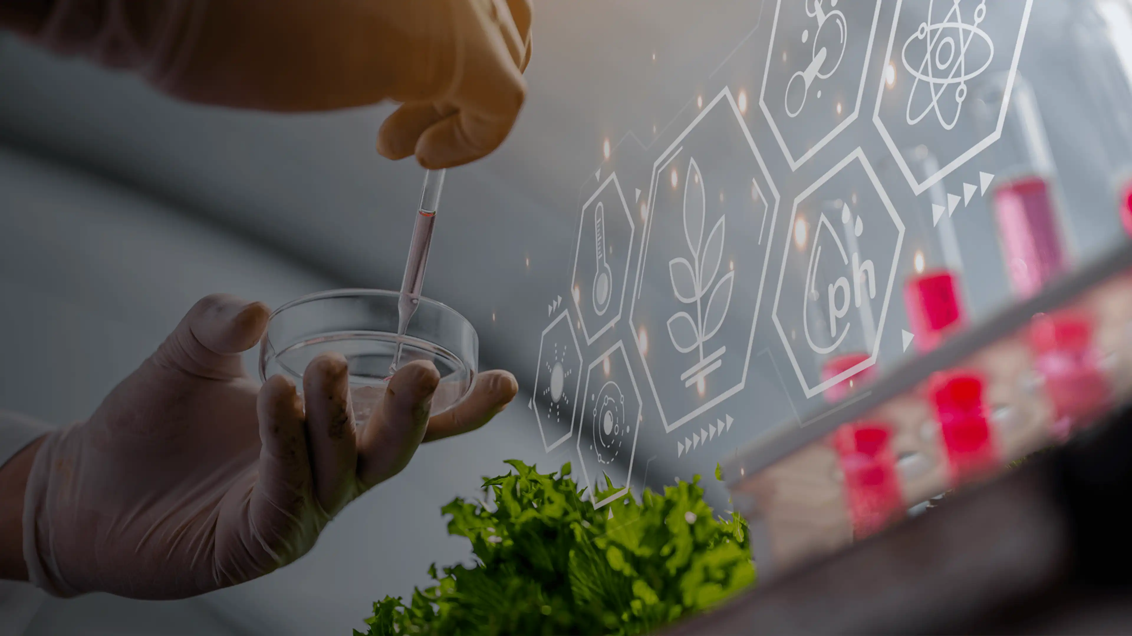 Abstract group illustration symbolizing teamwork and communication.