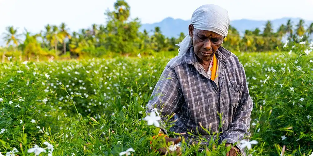 Sustainable sourcing practices image depicting an eco-themed representation with greenery surrounding industrial facilities, highlighting responsible supply chain.