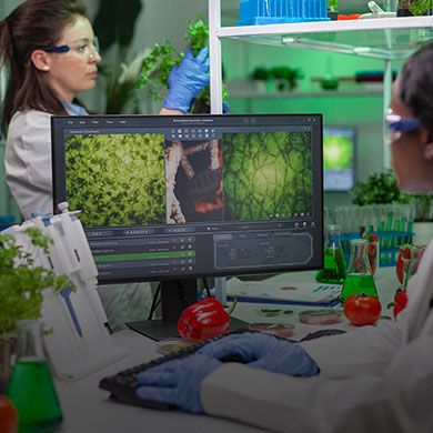 Two researchers analyzing plant structures on a monitor in a high-tech agricultural or botany laboratory.