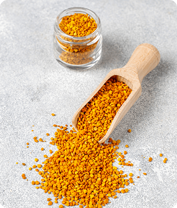 Fenugreek seeds, spice/herb.