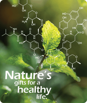 Nutraceutical product range illustration.