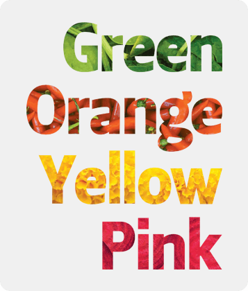 Necol branded spice and flavor product.