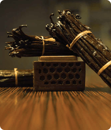 Vanilla pods and flowers, natural flavoring ingredient.