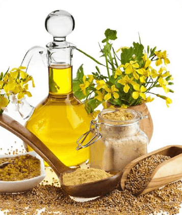 Mustard seeds, spice ingredient.